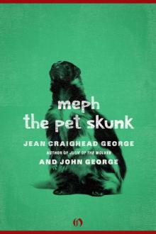 Meph, the Pet Skunk (American Woodland Tales)
