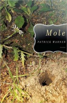 Mole Read online