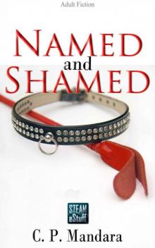 Named and Shamed: Pony girl training begins... (Pony Tales Book 4)