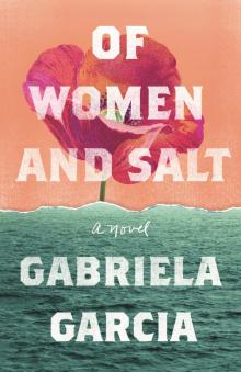 Of Women and Salt Read online