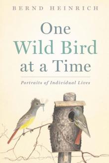 One Wild Bird at a Time Read online
