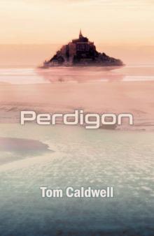 Perdigon Read online