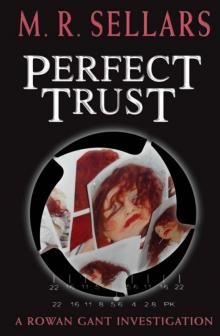 Perfect Trust: A Rowan Gant Investigation Read online