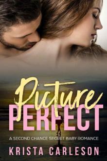 Picture Perfect: A Second Chance Secret Baby Romance