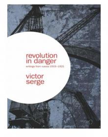 Revolution in Danger Read online
