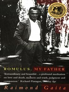 Romulus, My Father Read online