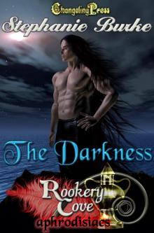 Rookery Cove: The Darkness Read online