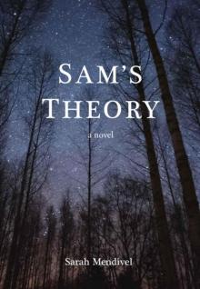 Sam's Theory Read online