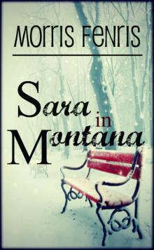Sara in Montana - A Christmas Wish Read online
