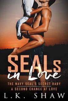 SEALs in Love Read online