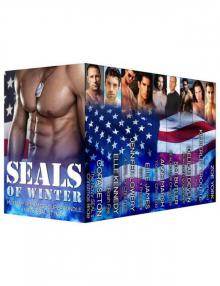 SEALs of Winter: A military romance superbundle Read online