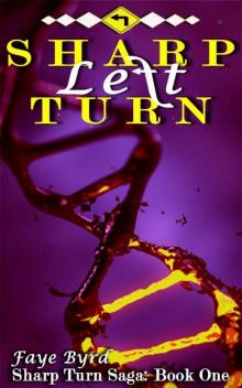 Sharp Left Turn (Sharp Turn Saga #1) Read online