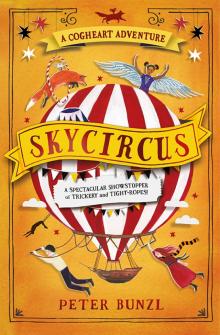 Skycircus Read online