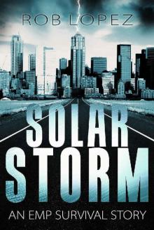 Solar Storm (Survival EMP Book 1) Read online
