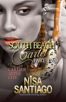 South Beach Cartel Read online