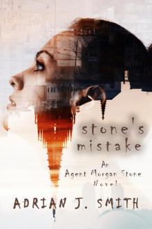 Stone's Mistake Read online