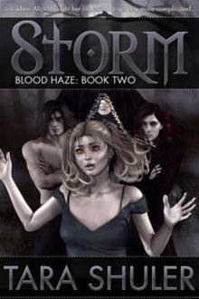 Storm (Blood Haze: Book Two) A Paranormal Romance Read online