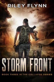 Storm Front Read online