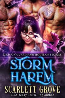 Storm Harem Read online