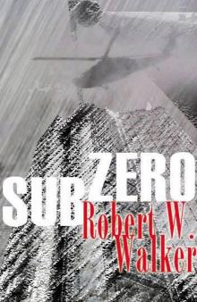 Sub-Zero Read online