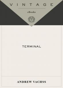 Terminal Read online