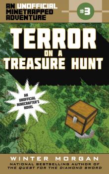 Terror on a Treasure Hunt Read online
