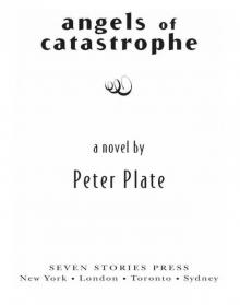 The Angels of Catastrophe Read online