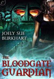 The Bloodgate Guardian Read online