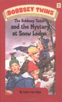 The Bobbsey Twins and the Mystery at Snow Lodge Read online