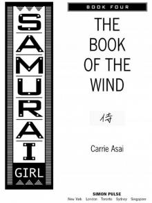 The Book of the Wind Read online