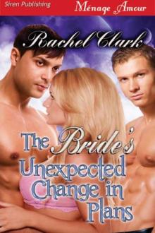 The Bride's Unexpected Change in Plans Read online