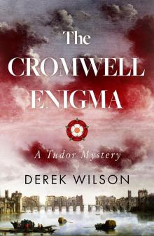 The Cromwell Enigma Read online