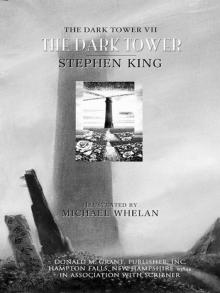The Dark Tower VII Read online