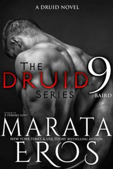 The Druid Series 9: Baird (A Druid Novel) Read online