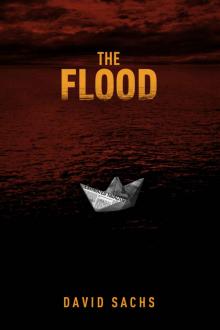 The Flood