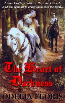 The Heart of Darkness Read online