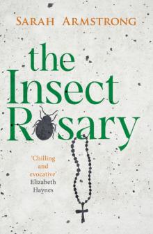 The Insect Rosary Read online