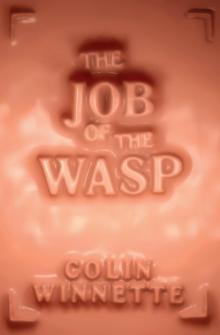 The Job of the Wasp Read online