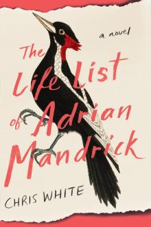 The Life List of Adrian Mandrick Read online