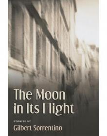 The Moon In Its Flight Read online
