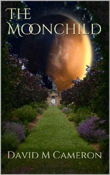 The Moonchild (The Moondial Book 1)