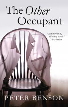 The Other Occupant Read online