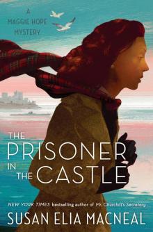 The Prisoner in the Castle Read online