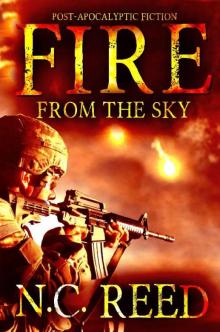 The Sanders Saga (Book 1): Fire From the Sky Read online