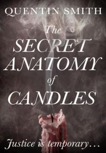 The Secret Anatomy of Candles Read online