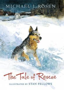 The Tale of Rescue Read online