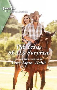 The Texas SEAL's Surprise--A Clean Romance Read online