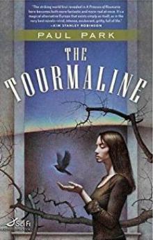 The Tourmaline (A Princess of Roumania) Read online