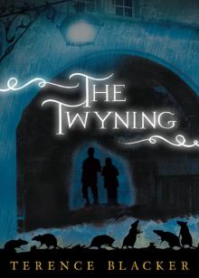 The Twyning Read online