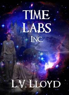 TimeLabs Inc Read online